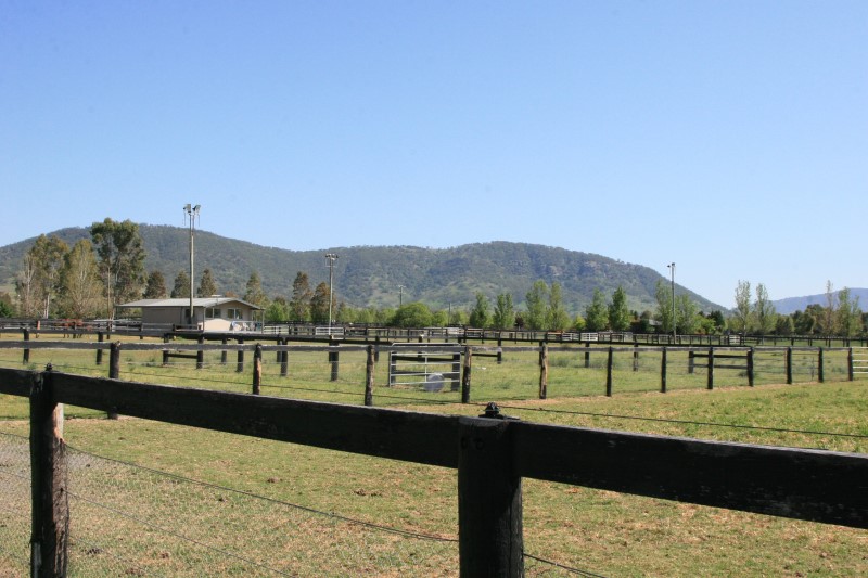 Arrowfield Stud - 009.JPG